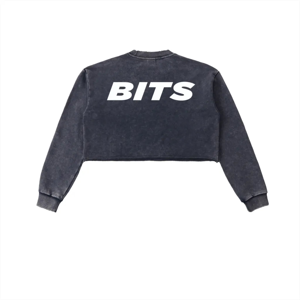 Womens BITS Snow Washed Cropped Sweater