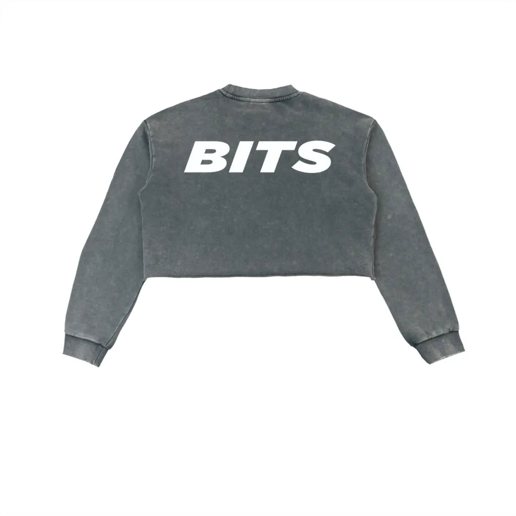 Womens BITS Snow Washed Cropped Sweater